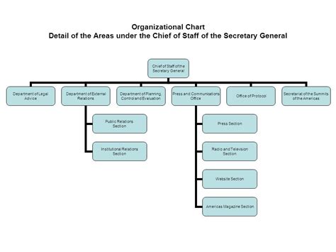 caap organizational chart|Organizational Chart .